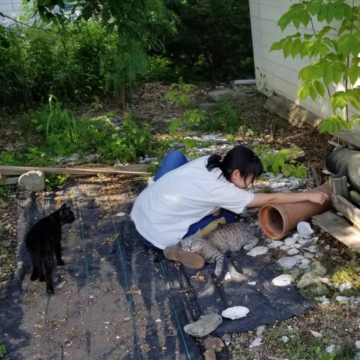 Ab9c0ca4 a4b4 4845 8398 275b6215d7b1 1690511688488