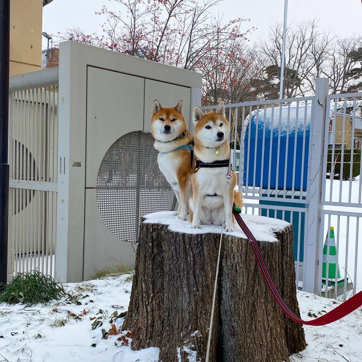 Ab9c2394 8d96 4d3d 8b42 eb86447baa9c 1608167063660