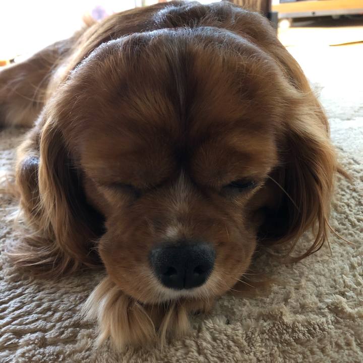 Ab9c7aa1 6b42 4a04 ad1b 50e5ab0d3873 1596838205073