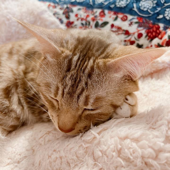 Ab9c9475 88ff 4dad a13a bc72053334f4 1654000068135