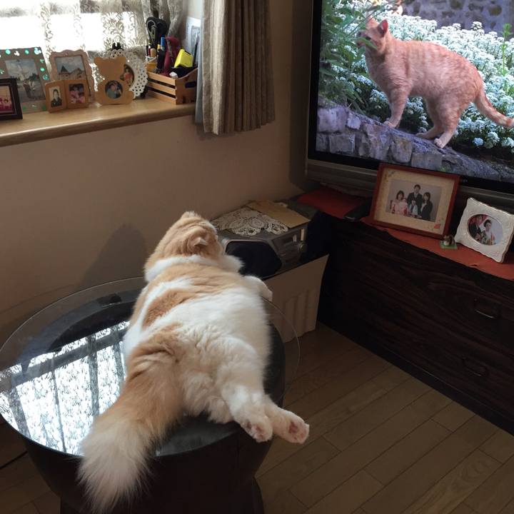 Ab9c97ad 150d 41e6 a472 7bfbee720440 1535410686505