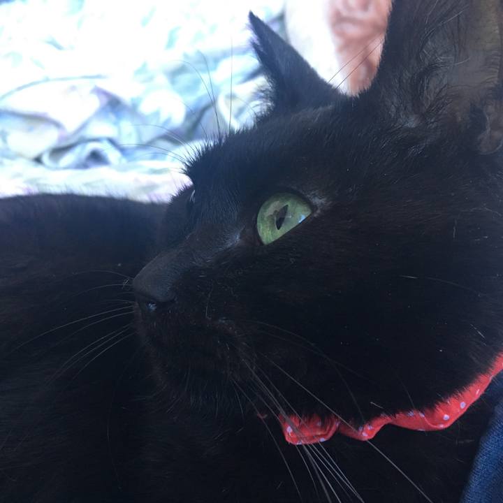 Ab9c9dfd e089 4ede b7f8 87367963e20a 1551507899856