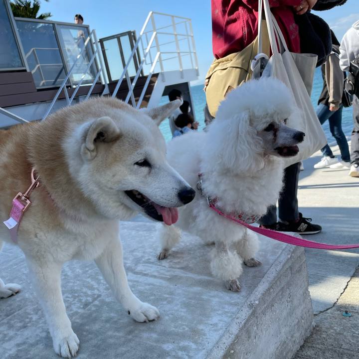 Ab9ce485 8d24 4d94 88af 2b35b4f16b51 1636327539751