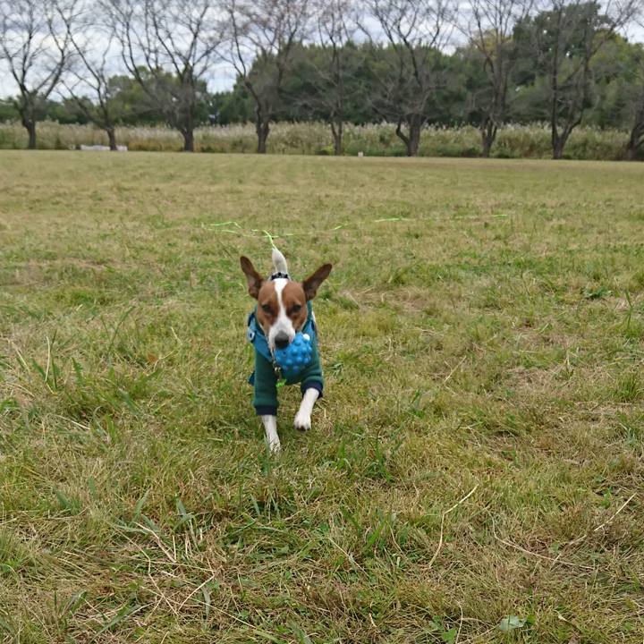 Ab9d2595 5b8b 4293 ac4a 4d5c64a2f4b5 1604024158690