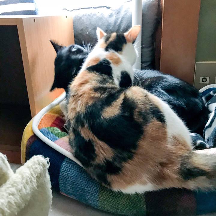 Ab9d4dc5 5366 4a5f adfe 7a02372efaef 1511053518343