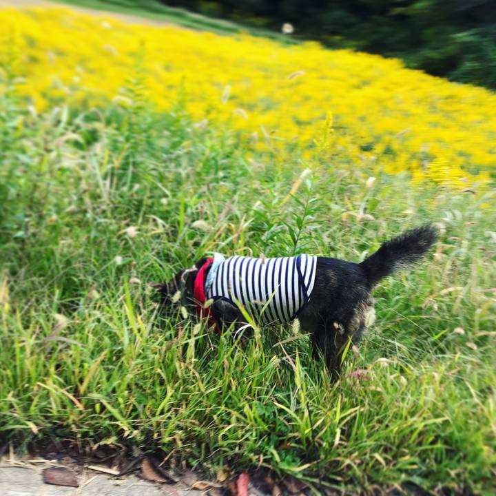 Ab9d58ff 9279 4a32 9d3f 946e35714394 1508112452896