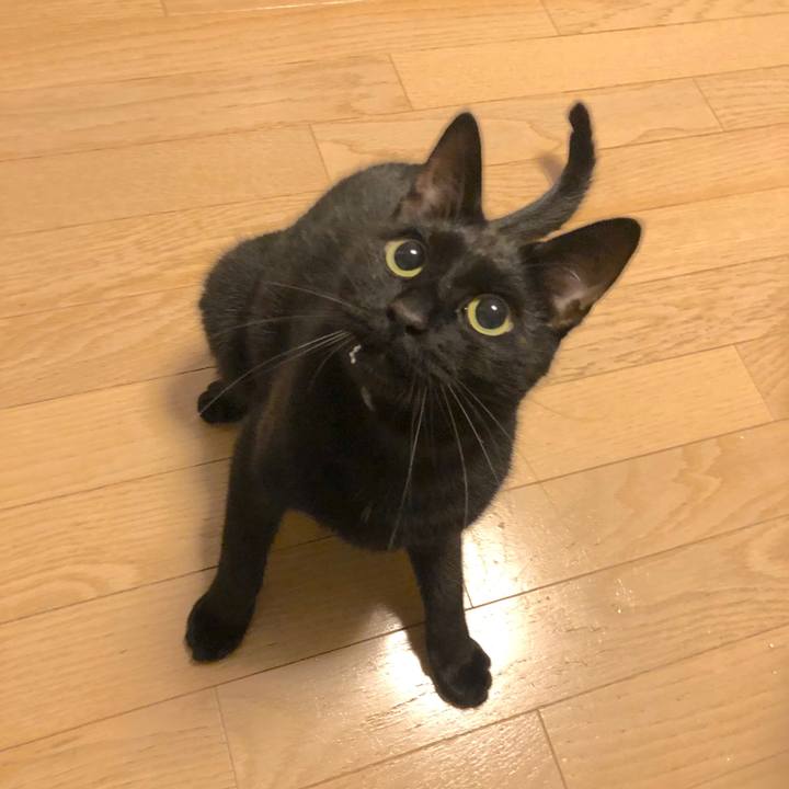 Ab9d67ab 8842 467f 8478 90cdd216227a 1572701014461