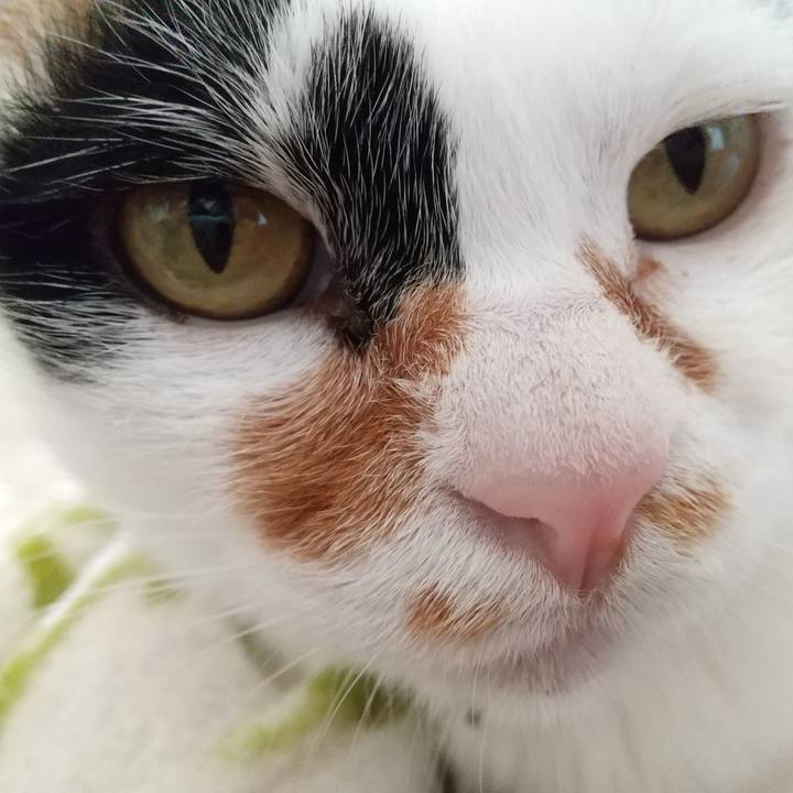 Ab9d8646 0df3 4979 b989 a2a3c19882d6 1616741477079