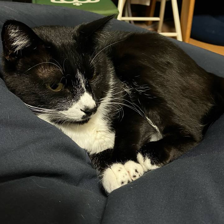 Ab9d8776 993a 4e38 8532 7c6256b9a568 1667533572567