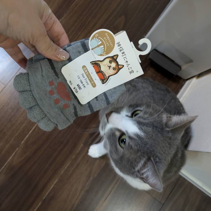 Ab9dca6f 6136 4815 a4bc ad36848e1262 1770773734379