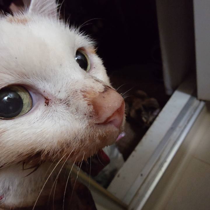 Ab9dd045 8e35 488f 83bb 91009944ecfc 1759504323007