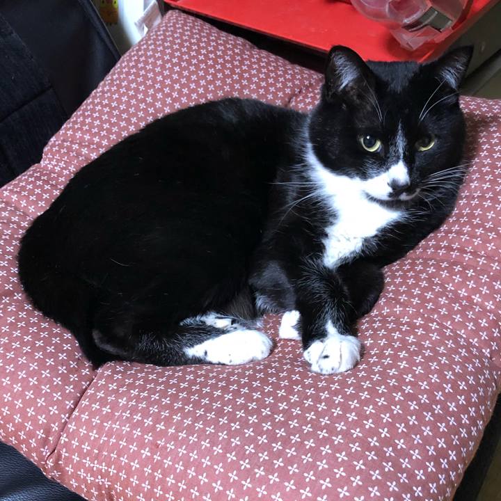 Ab9dd950 4f57 42e7 b03b f36e301e148a 1558066397887