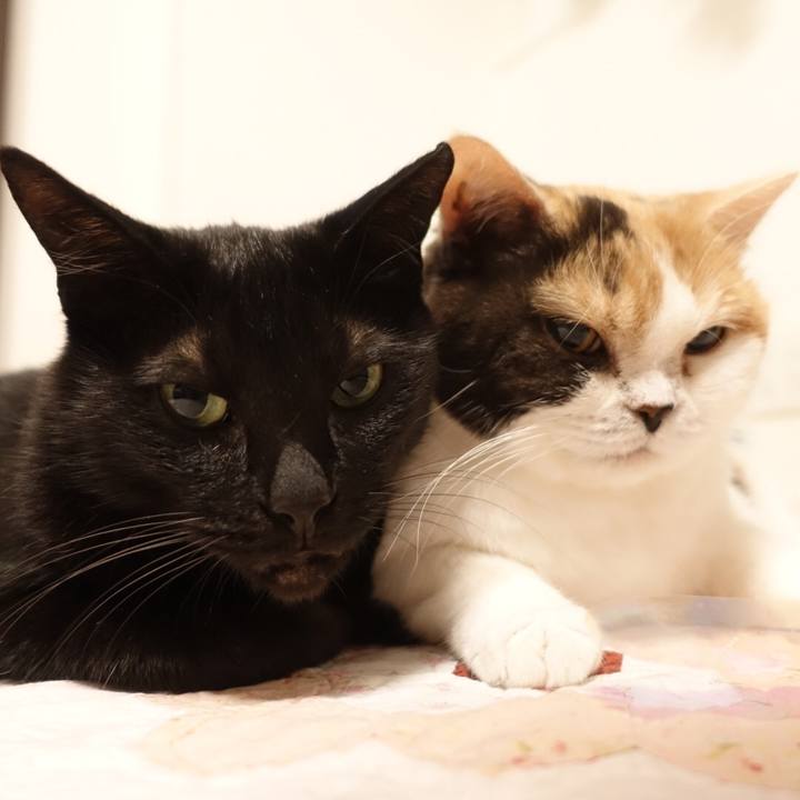 Ab9e60b4 20b7 4723 8110 5b4f380a1436 1570112848615