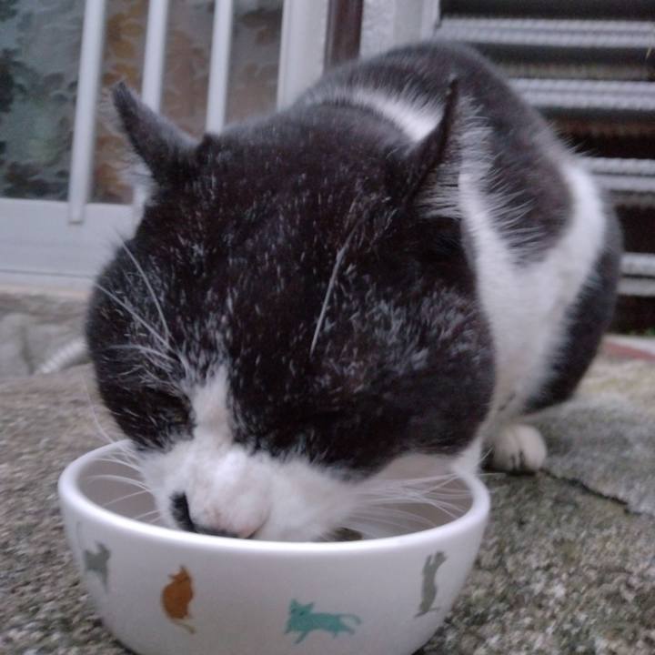 Ab9e8ca9 fc1b 48ae 95fe 067fac0e860b 1704614031495