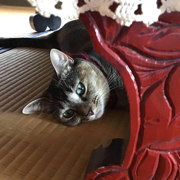 Ab9fa599 6202 48d4 80e1 ed3838413866 1599632208908