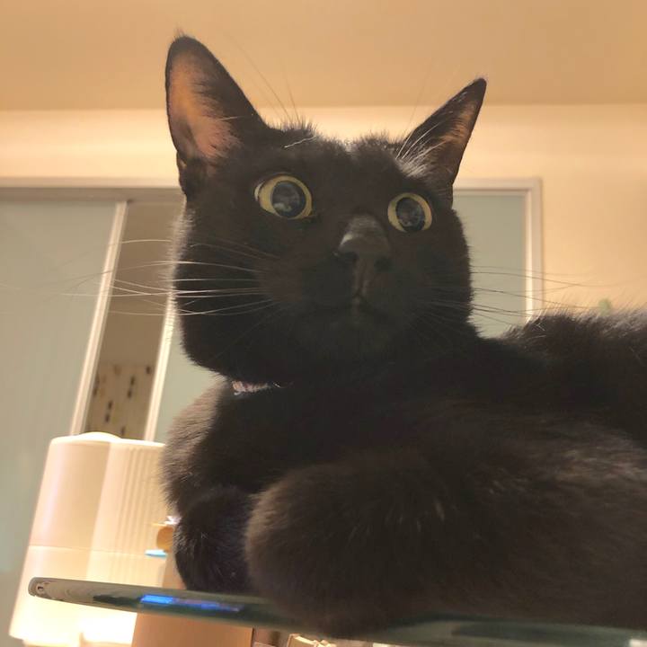 Aba009cb aeed 4c48 a36b e2cd6120afc3 1523794138650