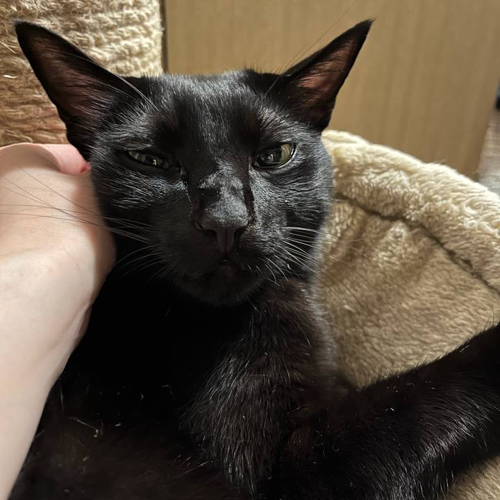 Aba00af4 62e9 4c18 956a 475a16fc4595 1689898773838