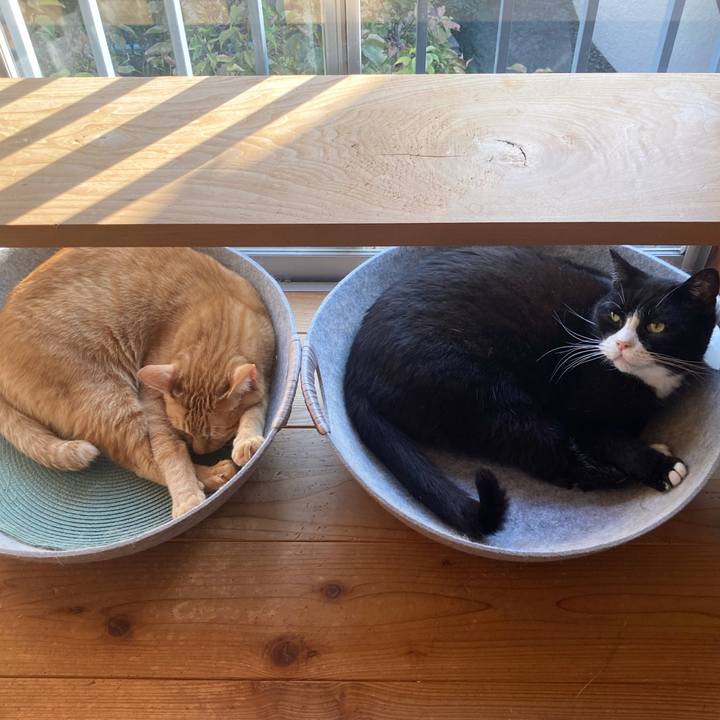 Aba026ae 6cf2 4b5a 8f46 7e94843cd7f1 1636118143848