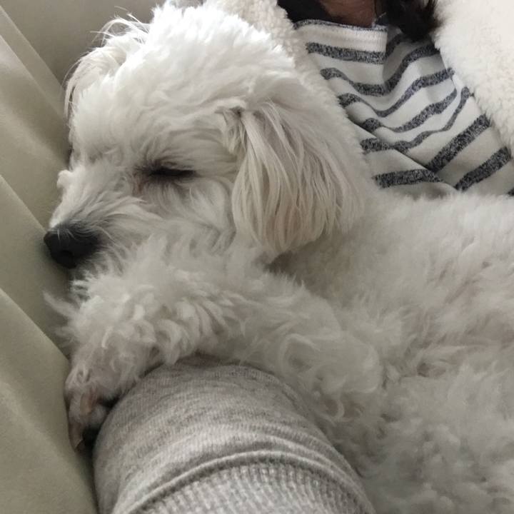 Aba04077 dd7b 42af 994b f5d5208346ac 1542779242011