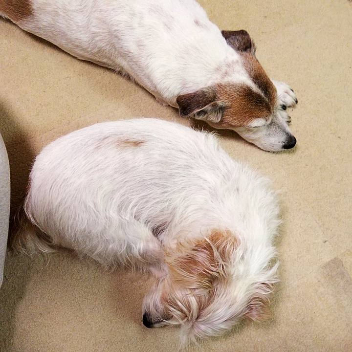 Aba04ff6 7cd1 4251 a1ad 3ab9d02d197e 1586781557876