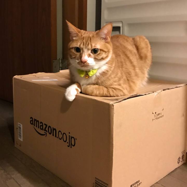 Aba06190 51d0 4229 877c 9f0ca4b20190 1522857460917