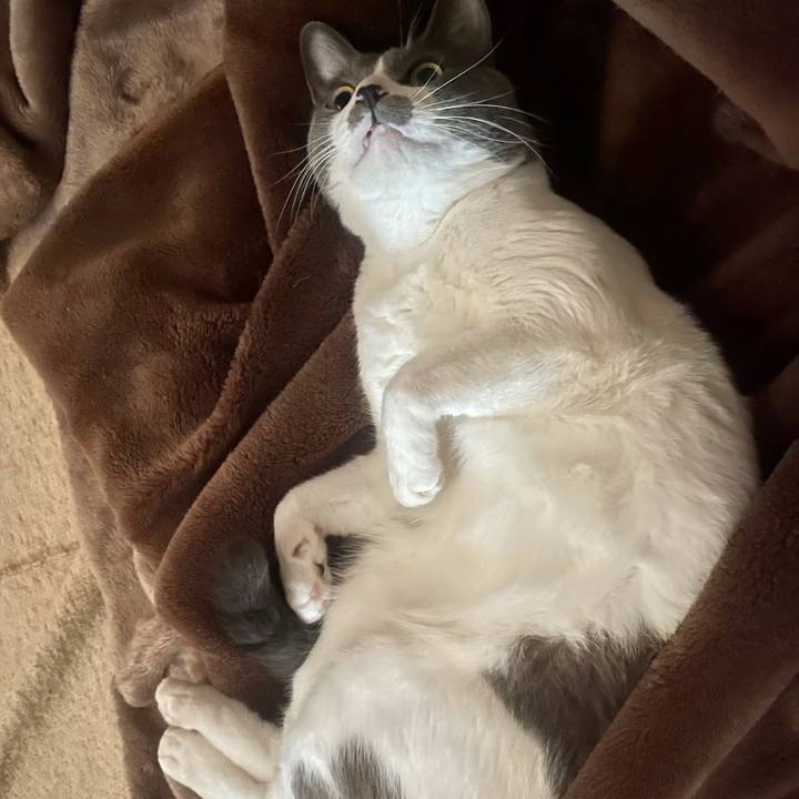 Aba07504 96d6 4b0e 8209 31b0d03b77b3 1637113467334