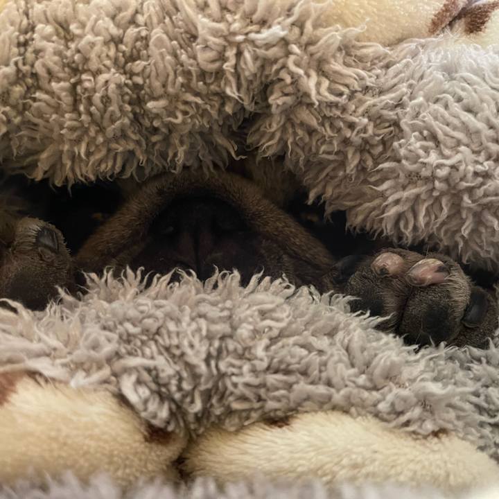 Aba07fa1 8b35 4331 834e f5671f7ad188 1765512293918