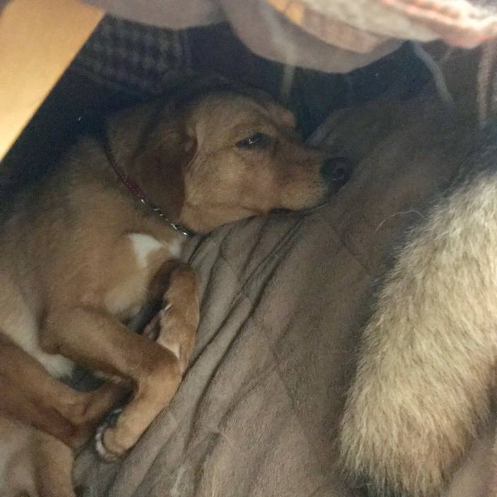 Aba0ca65 613b 400f ba5c e354e8e622e9 1560164297137