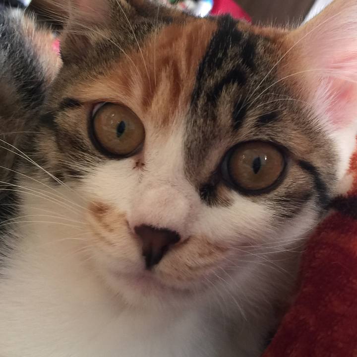 Aba0e404 dffd 4bdd 96af b79b4efacc69 1637108796238