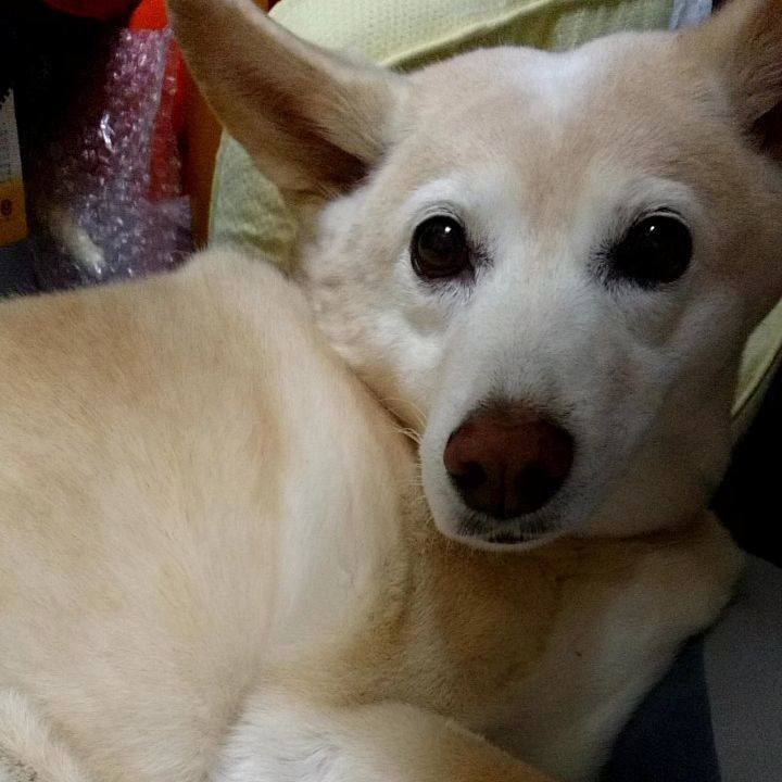 Aba10621 828e 487e b6d1 0559f0e8e730 1575374346883