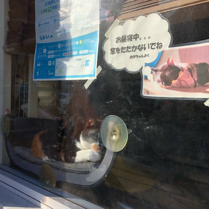 Aba11200 663b 484e ab57 67b26292a43a 1606146546713