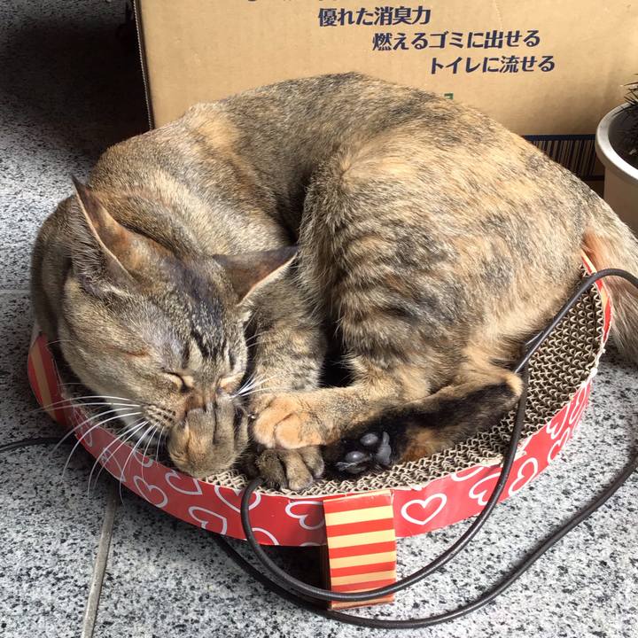 Aba12366 9364 4611 9e13 ca8f3f63ff39 1584087364727