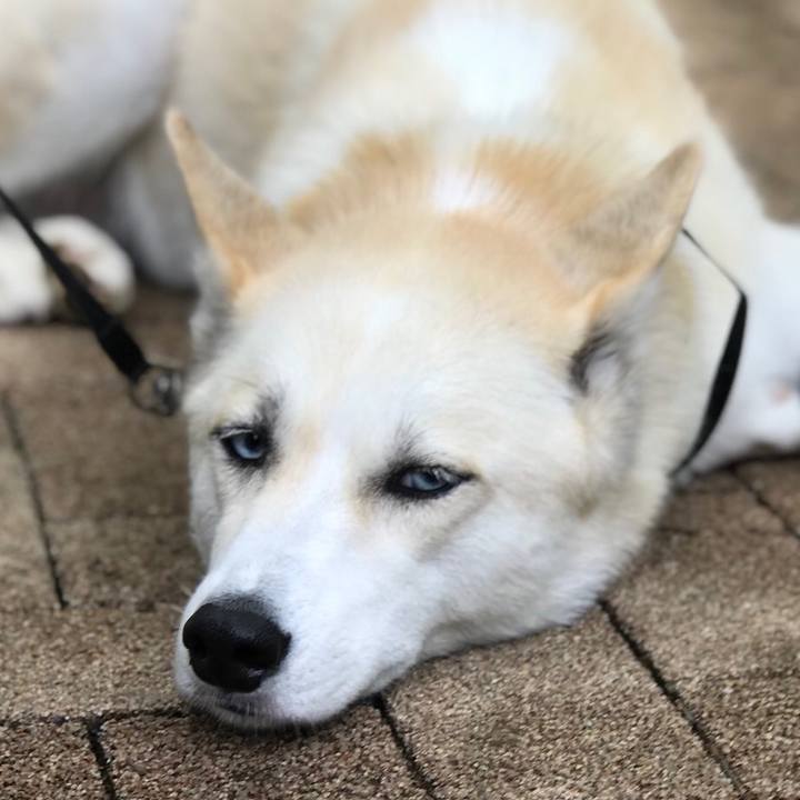 Aba12aed 3c3c 46ad b414 9057adef9d55 1530934865890