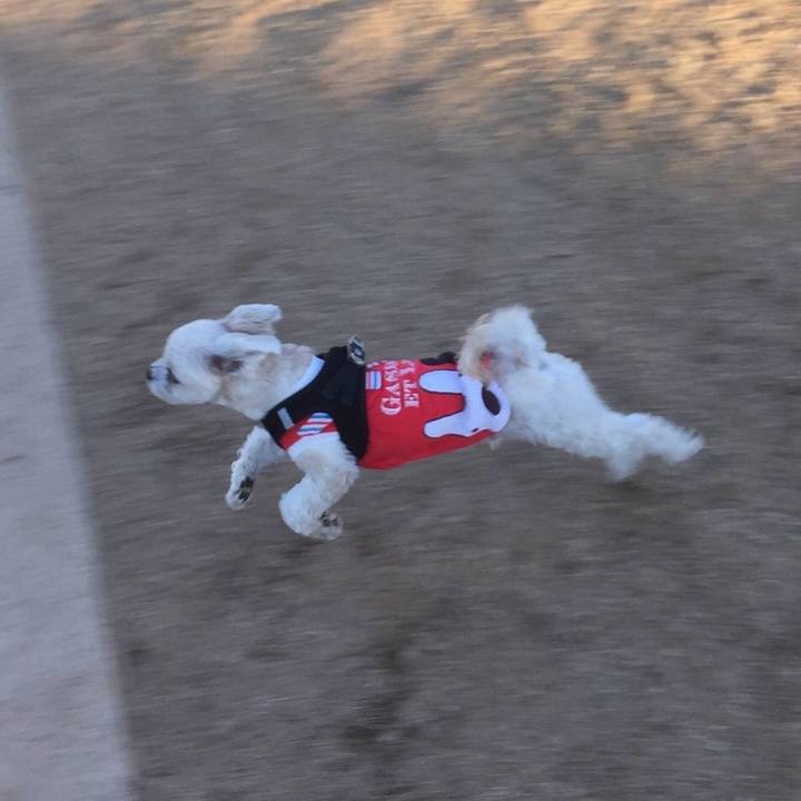 Aba158b0 dd97 41c7 aea0 9549bbd7aa22 1763172985577