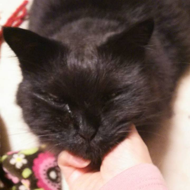 Aba1f797 ff41 4e74 975b 389e0d0a6d33 1542887408066