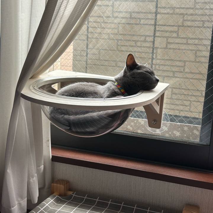 Aba1fda8 2a0f 4780 93ca 6b3380e88548 1694038168714