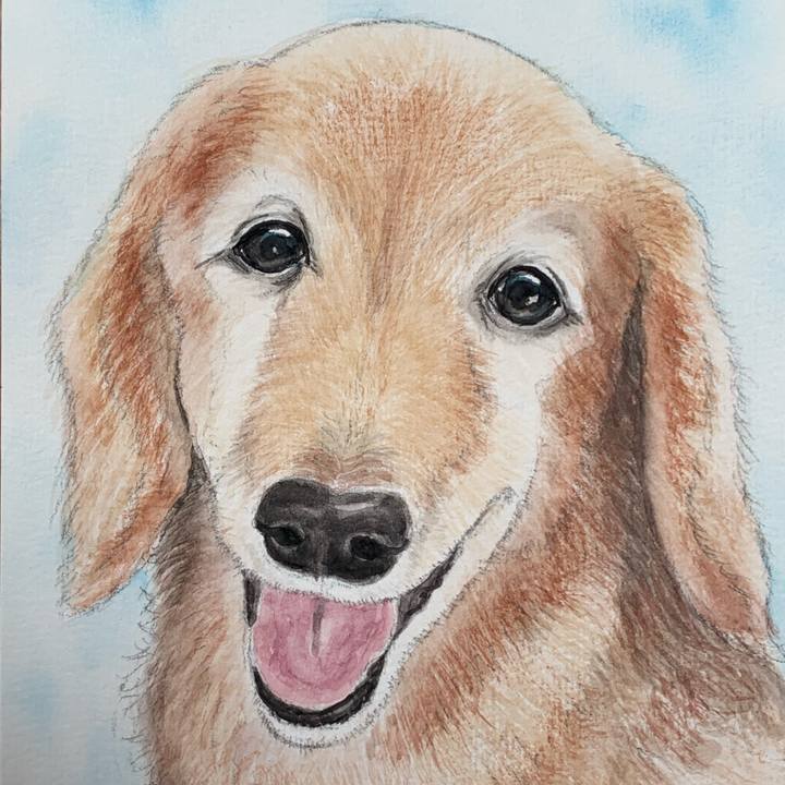 Aba21d6c bab7 443f 93c9 f77cf8d17e16 1684645503435