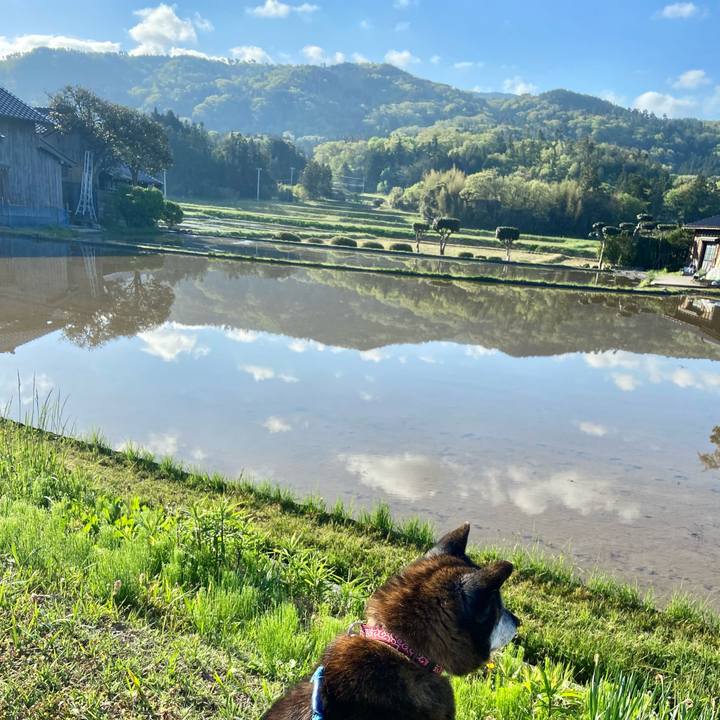 Aba240f5 9f3d 4f33 aa76 e664f3c47c77 1714604947112