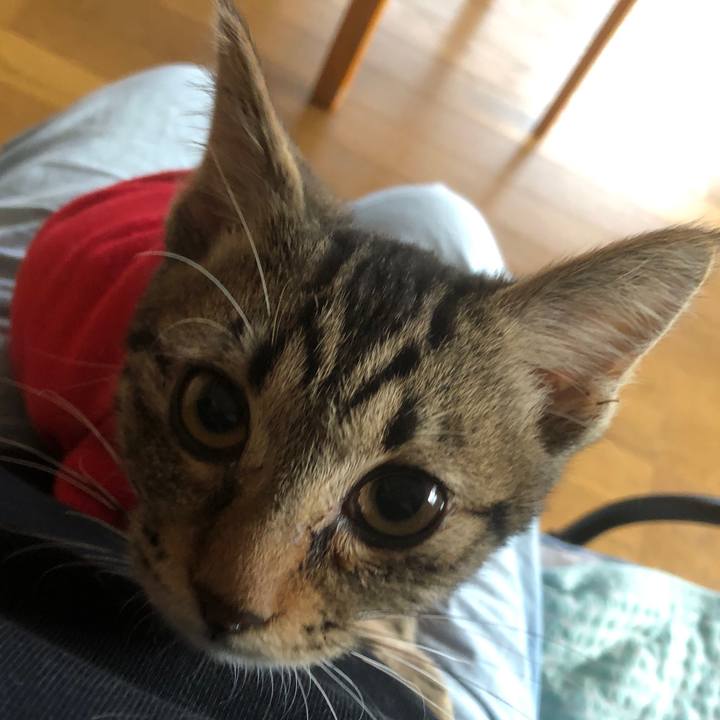 Aba2834b 0bba 4e57 87c3 7bab936db22b 1730498159813