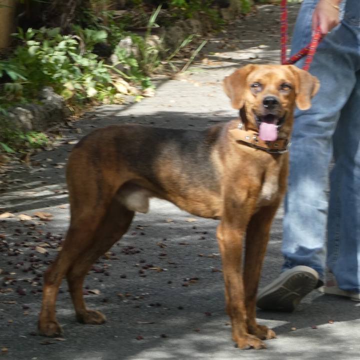 Aba2d913 0353 4558 9f4d 05f9c8e83afa 1661696677899