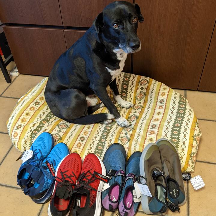 Aba33877 5ed4 4afb 94a5 2cd2e075337e 1656328762774