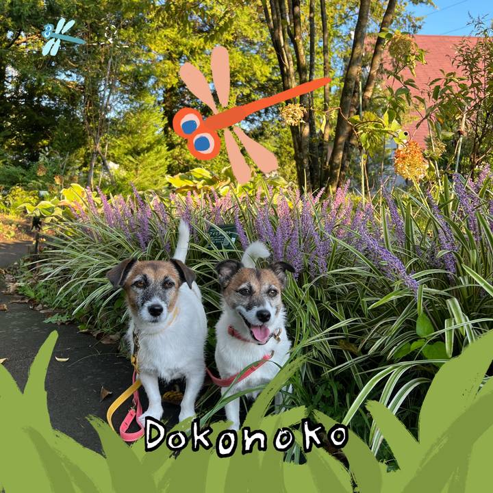 Aba35705 1145 45cf af59 93d4bf1a736a 1726825628317