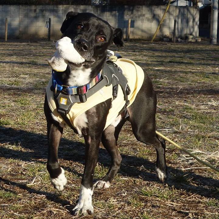 Aba35d15 c13e 46ac 8b98 48eac32d3761 1642813258983