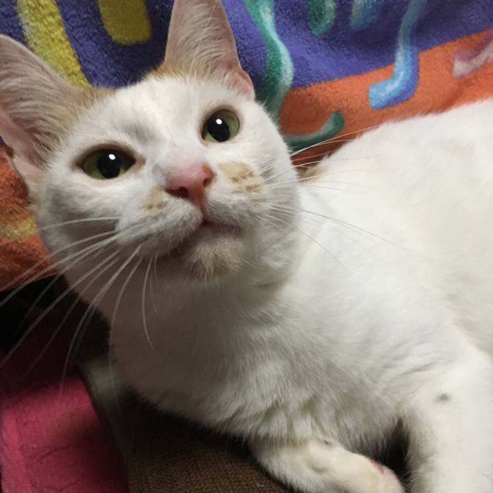 Aba36a7c 4f85 4399 bff8 66d7771a844d 1564306526619