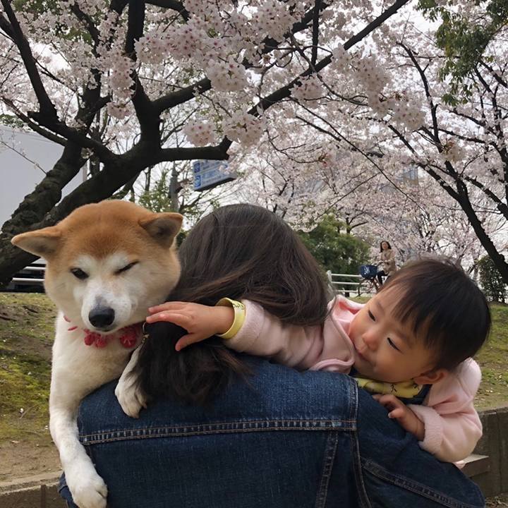 Aba3c441 df28 464e 9e9d c0d248f5adda 1554458584977