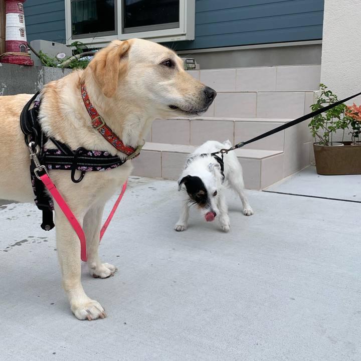 Aba3d5f5 62c0 46ad b961 696e01fc3a3f 1721258874902