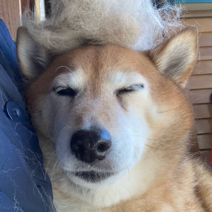 Aba3db7d 6ac4 46c9 b411 ecc24614cfe8 1644546559870