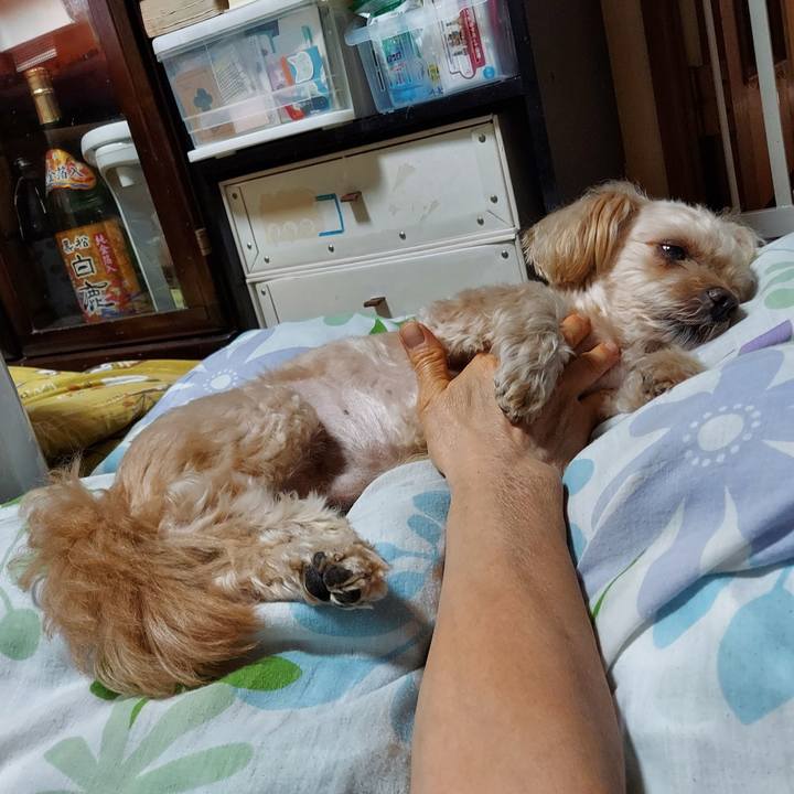 Aba3e1b5 25d2 4ec8 b574 f9a590913912 1696489314665