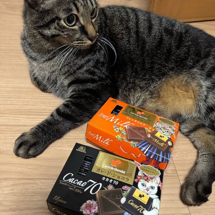 Aba3e490 429f 40d1 b636 4ce2148a1c61 1744892414206