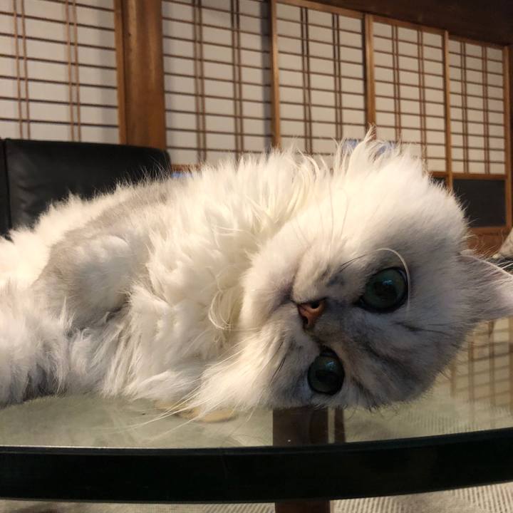 Aba41cc0 91af 46c5 b19a c26a573fd3fe 1566045592224